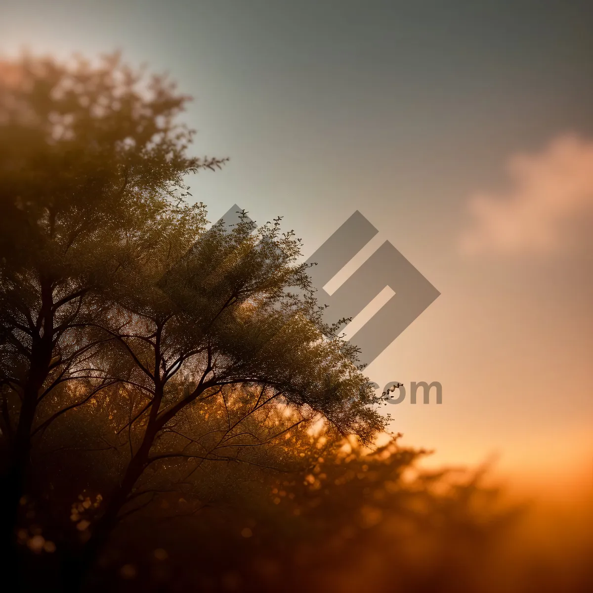 Picture of Golden Horizon: Majestic Sunset over Lush Oak Forest