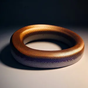 The Black Thunder Snake Coiled in Bangle