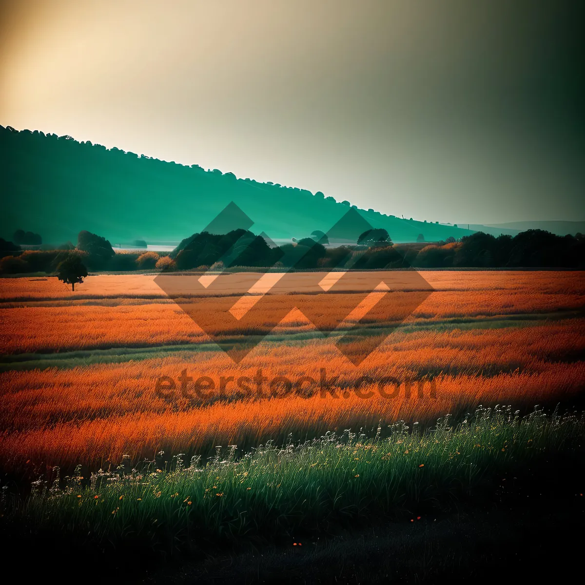 Picture of Golden Horizon: A picturesque sunset over a rural landscape with vibrant orange hues.
