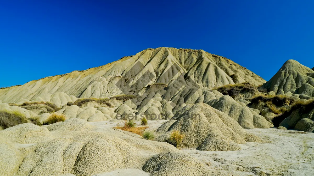 Picture of Sandy Park Landscape in Summer Sky