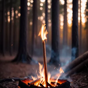 Fiery Glow: A Warm Torch's Orange Flames