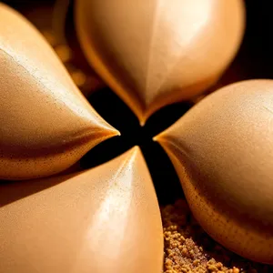 Satin Bronze Egg Decoration Design