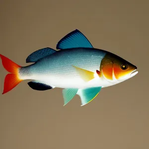 Golden Aquarium Fish in Tropical Reef