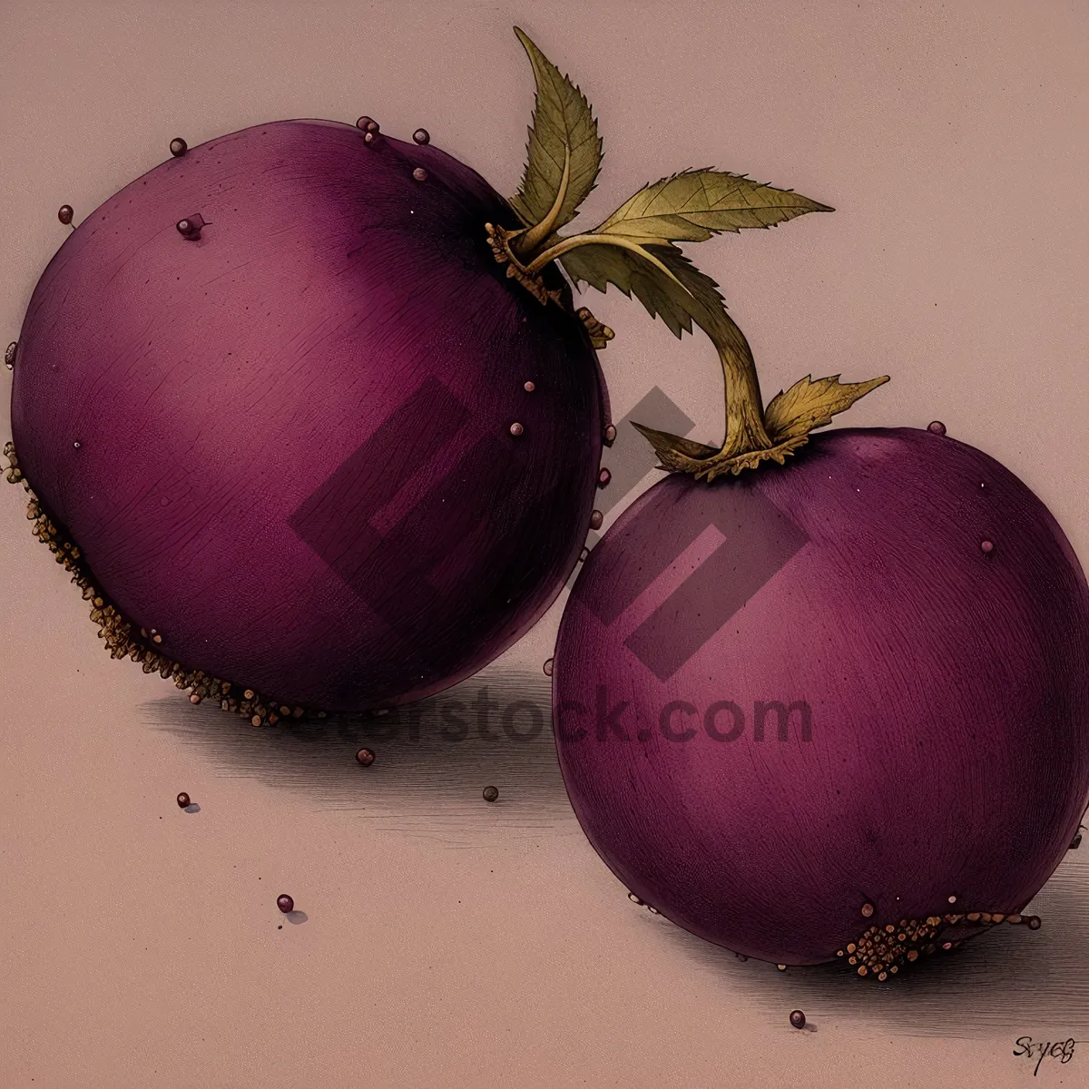 Picture of Fresh Winter Vegetable Balls with Purple Onion Bulbs