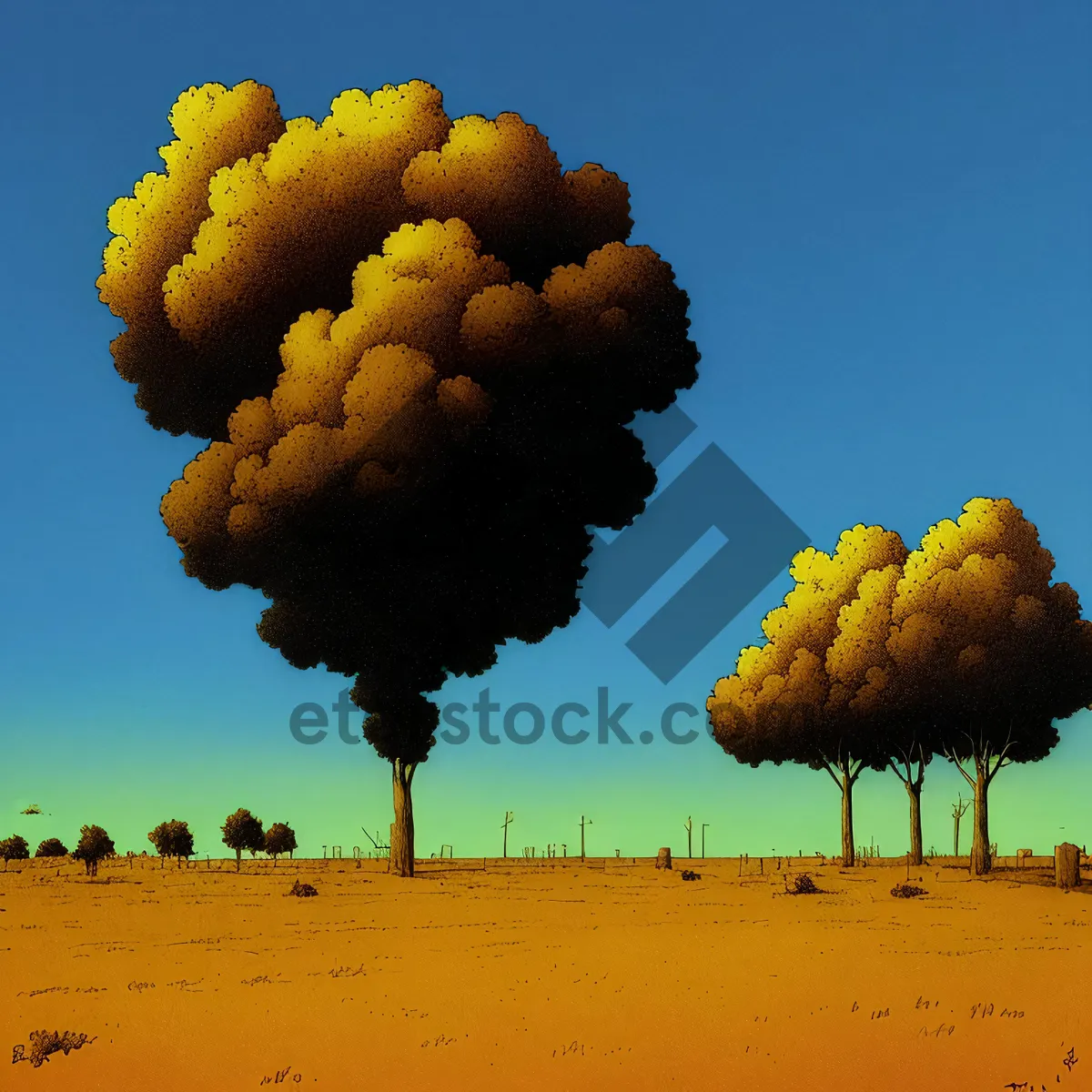 Picture of Acacia Tree Against Rural Vineyard Landscape