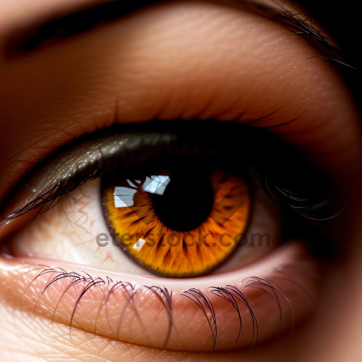 Picture of Beautifully Defined Eye with Gorgeous Eyelashes