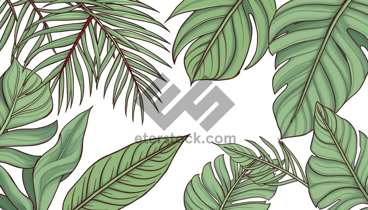 Picture of Floral Bamboo Leaf Silhouette Pattern Design