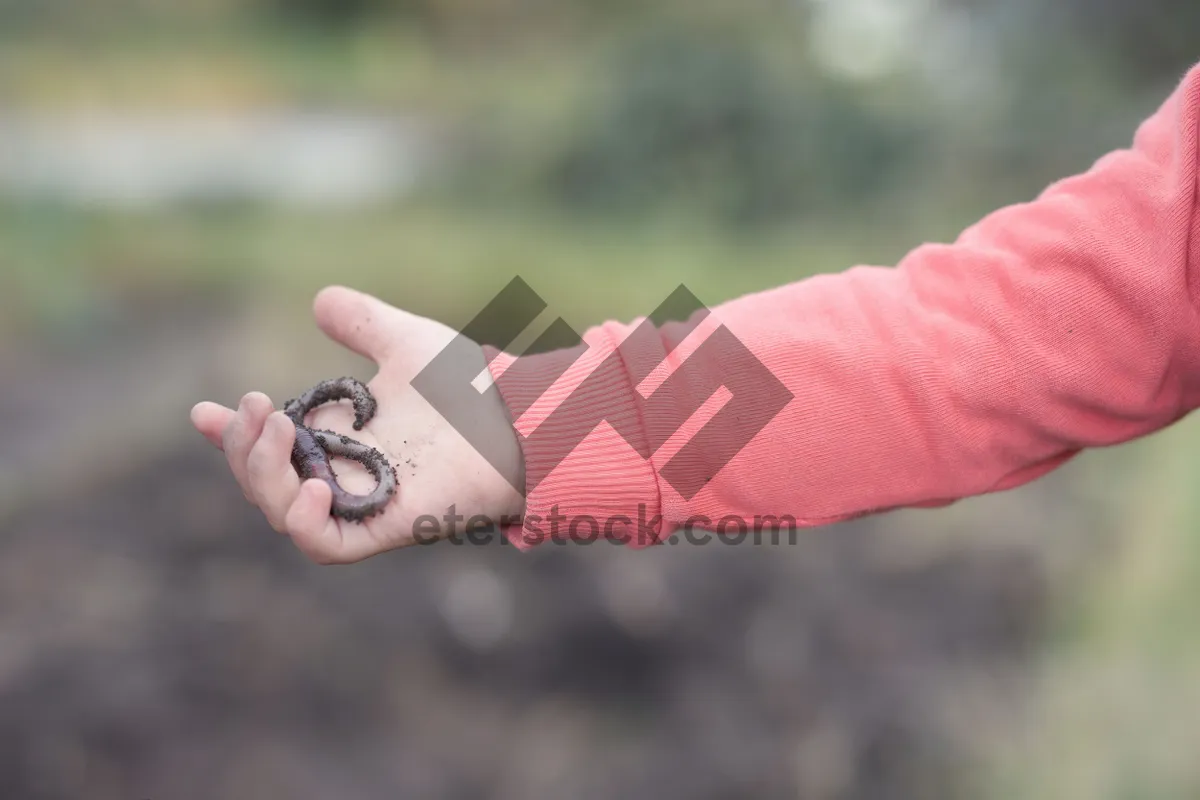 Picture of Man's hands holding fingers together