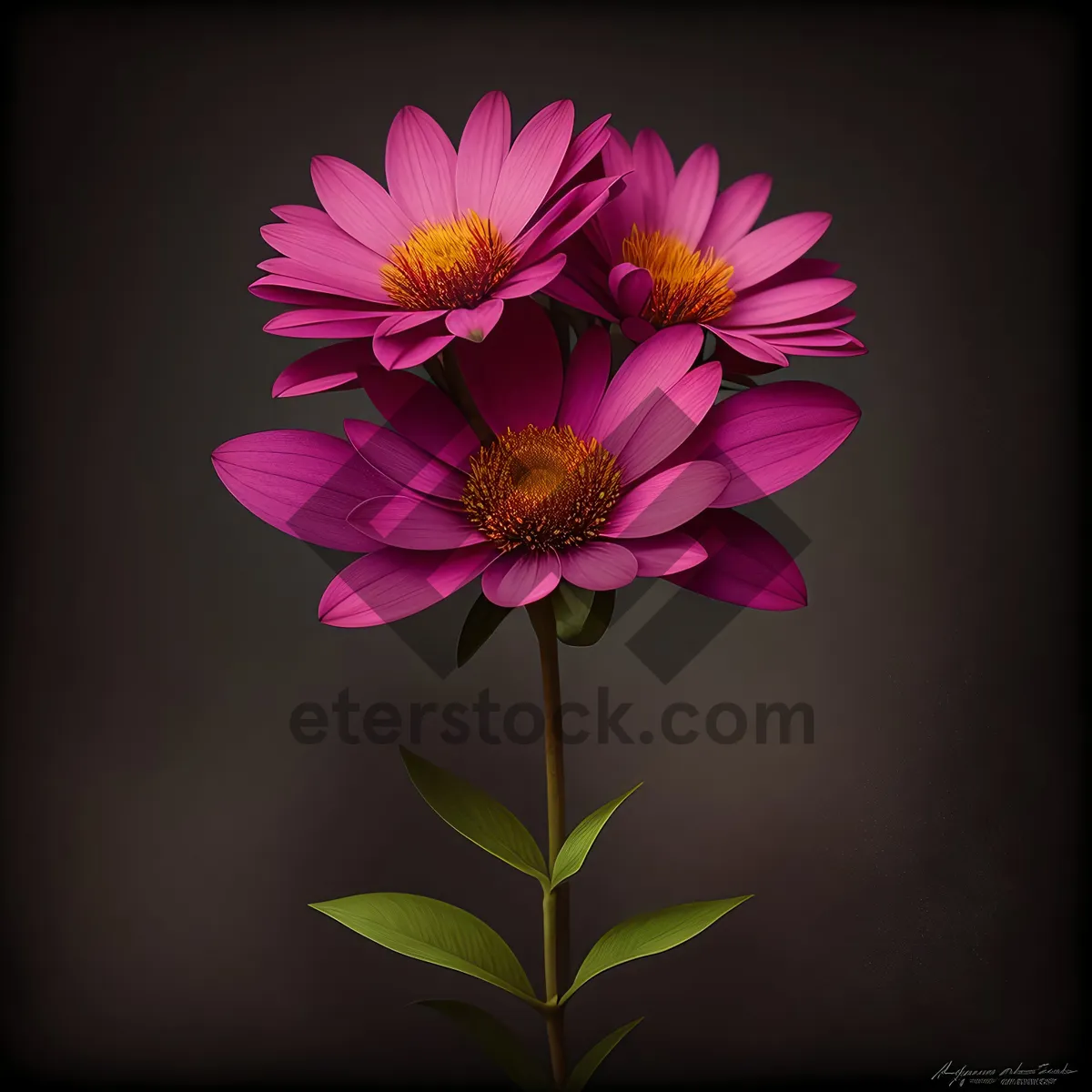 Picture of Pink Petal Blooming in Floral Garden