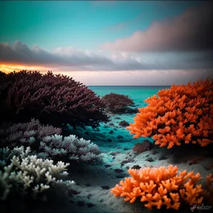 Colorful Coral Reef Underwater Landscape with Tropical Fish
