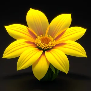 Bright Sunflower Bloom in Summer Garden