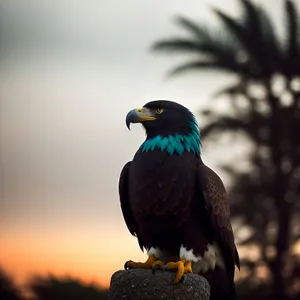 Captivating Avian Gaze: Majestic Bald Eagle with Vibrant Plumage