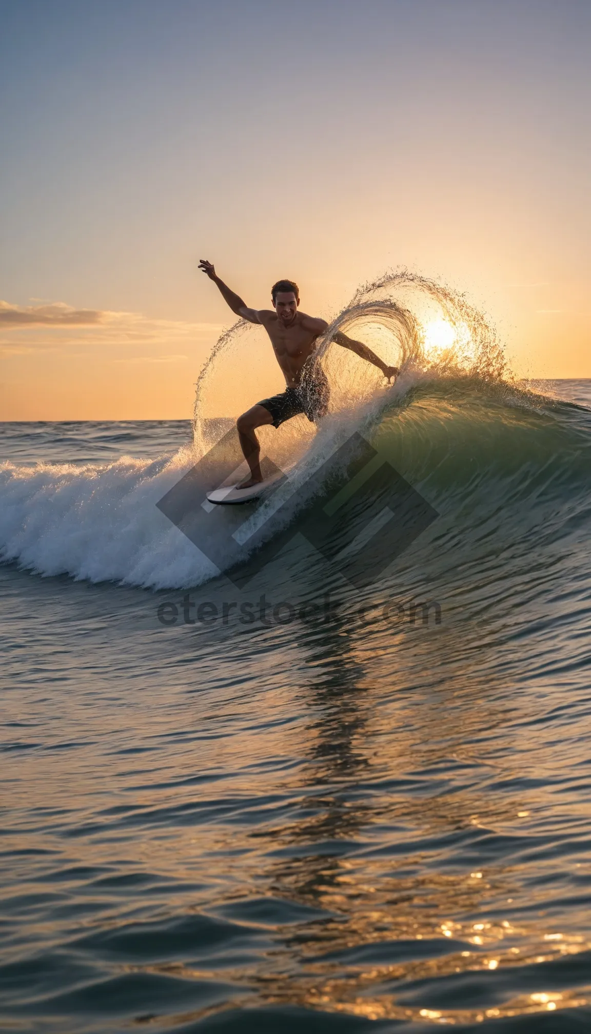 Picture of Beach Rope Swing Fun in the Sun