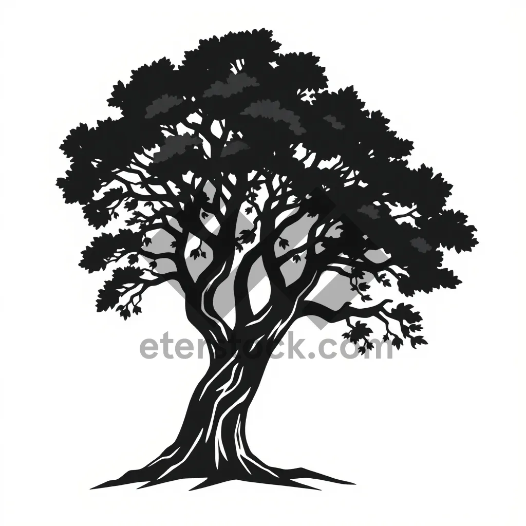 Picture of Seasonal Black Oak Tree Branch Silhouette Graphic Design