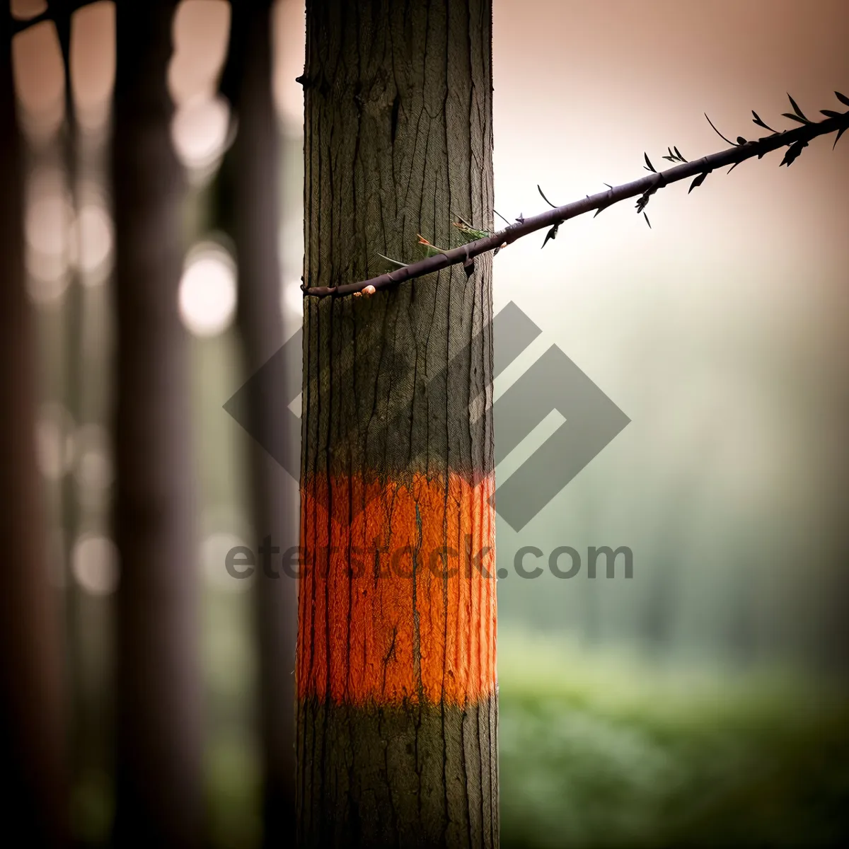 Picture of Worm Fence under the Blue Sky