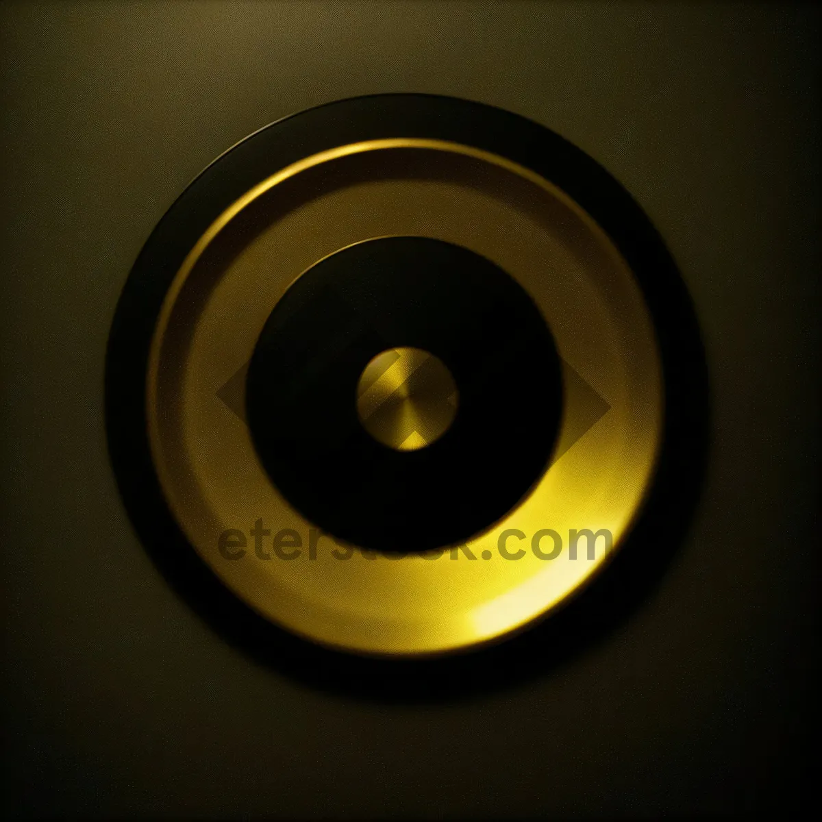 Picture of Shiny Black Acoustic Audio Circle with Digital Lamp