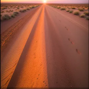 Vibrant Dunes: Desert Sands and Sunlit Landscape