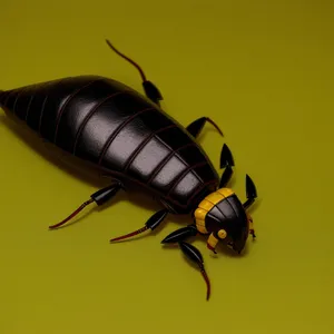 Black Beetle with Curved Antenna in Wildlife