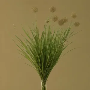 Blooming dill: A vibrant symbol of summer agriculture.