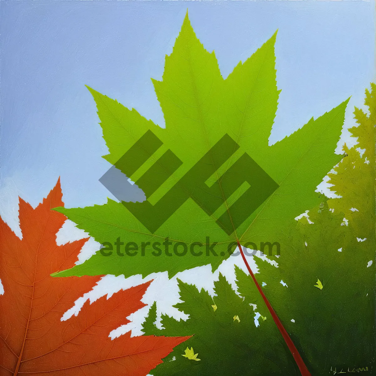 Picture of Vibrant Autumn Foliage in Maple Forest