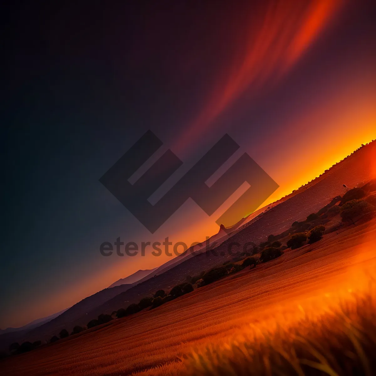 Picture of Vibrant Sunrise Over Serene Rural Meadow