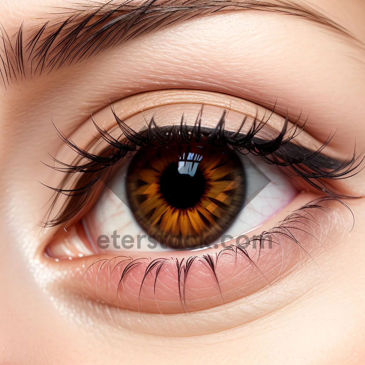 Picture of Vibrant Eye Makeup with Dramatic Eyelashes