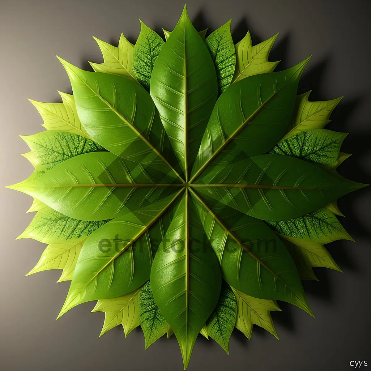 Picture of Vibrant Maple Leaf in Forest Foliage