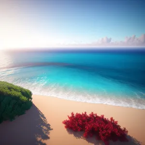 Turquoise Wave at Tropical Beach Paradise