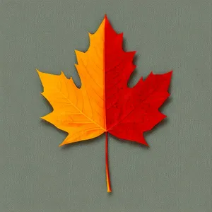 Autumn Maple Leaf Bookmark Decoration