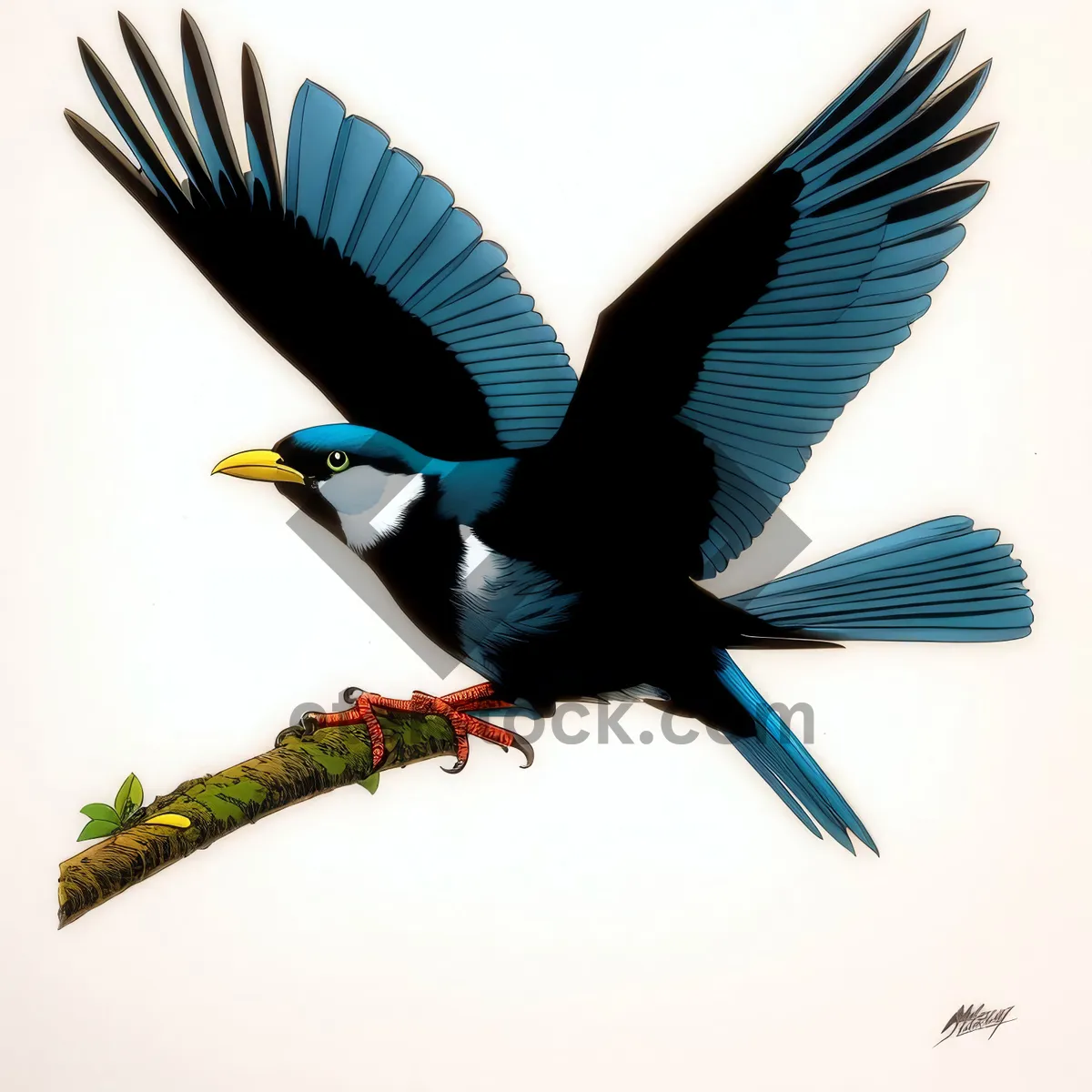 Picture of Graceful Soaring Magpie in the Wild Sky