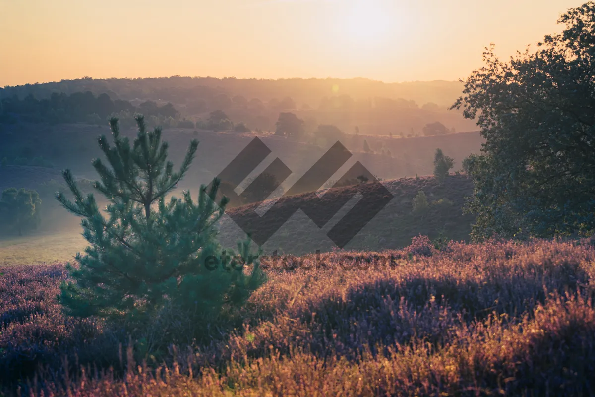 Picture of Autumn Landscape in National Park with Mountains