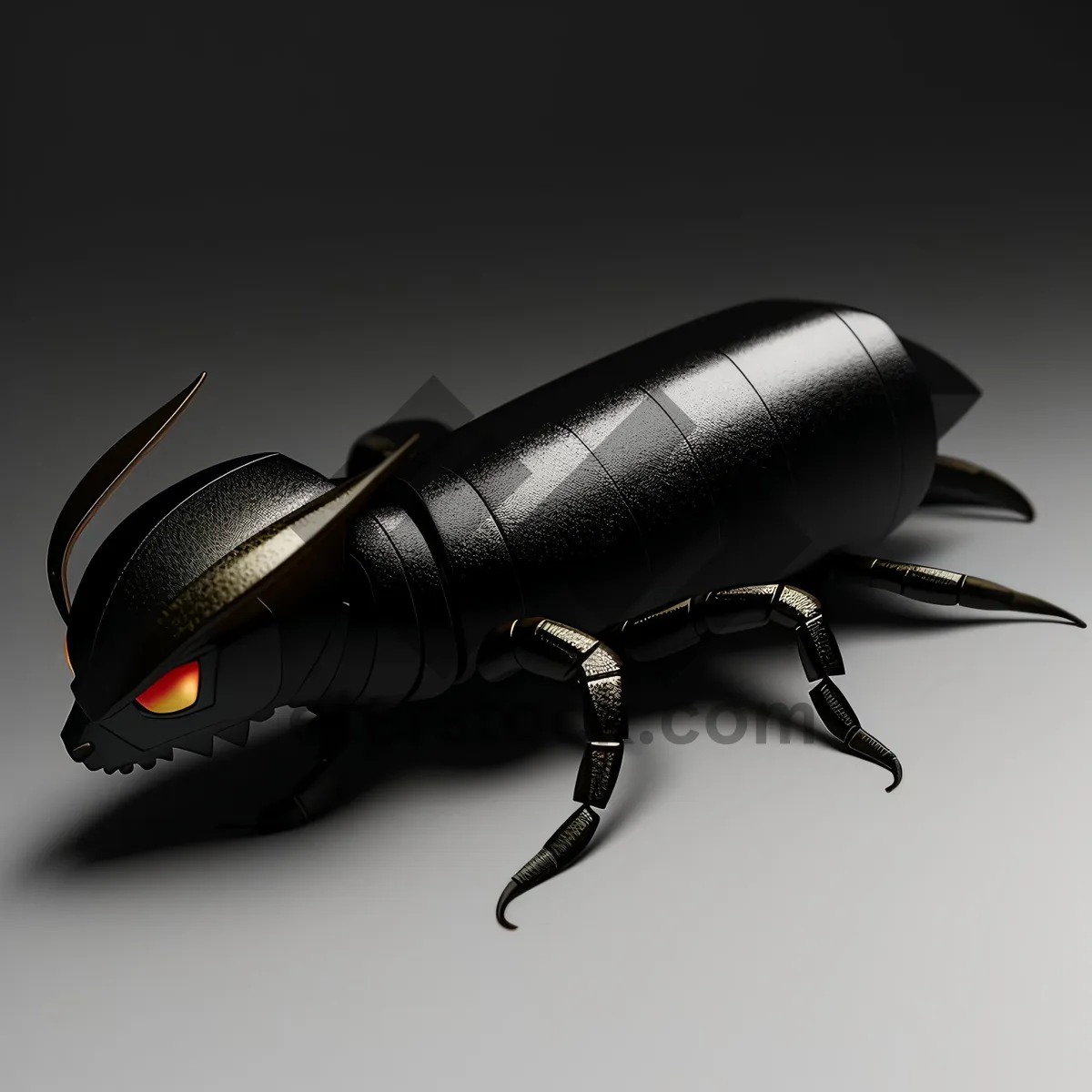 Picture of Black Ground Beetle - Insect with Antenna