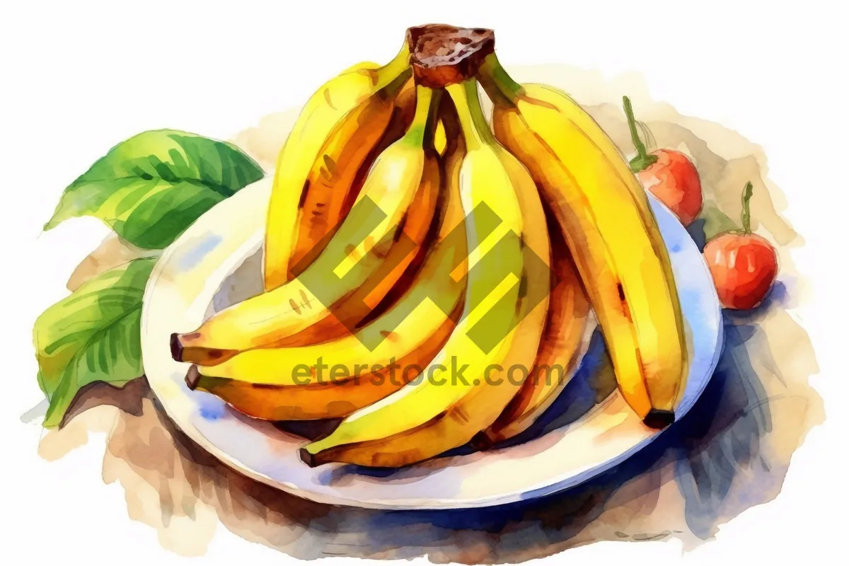 Picture of Fresh Yellow Banana Bunch - Healthy Organic Snack