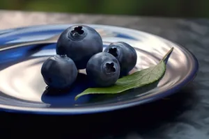 Organic Blueberry Snack, Sweet and Delicious.