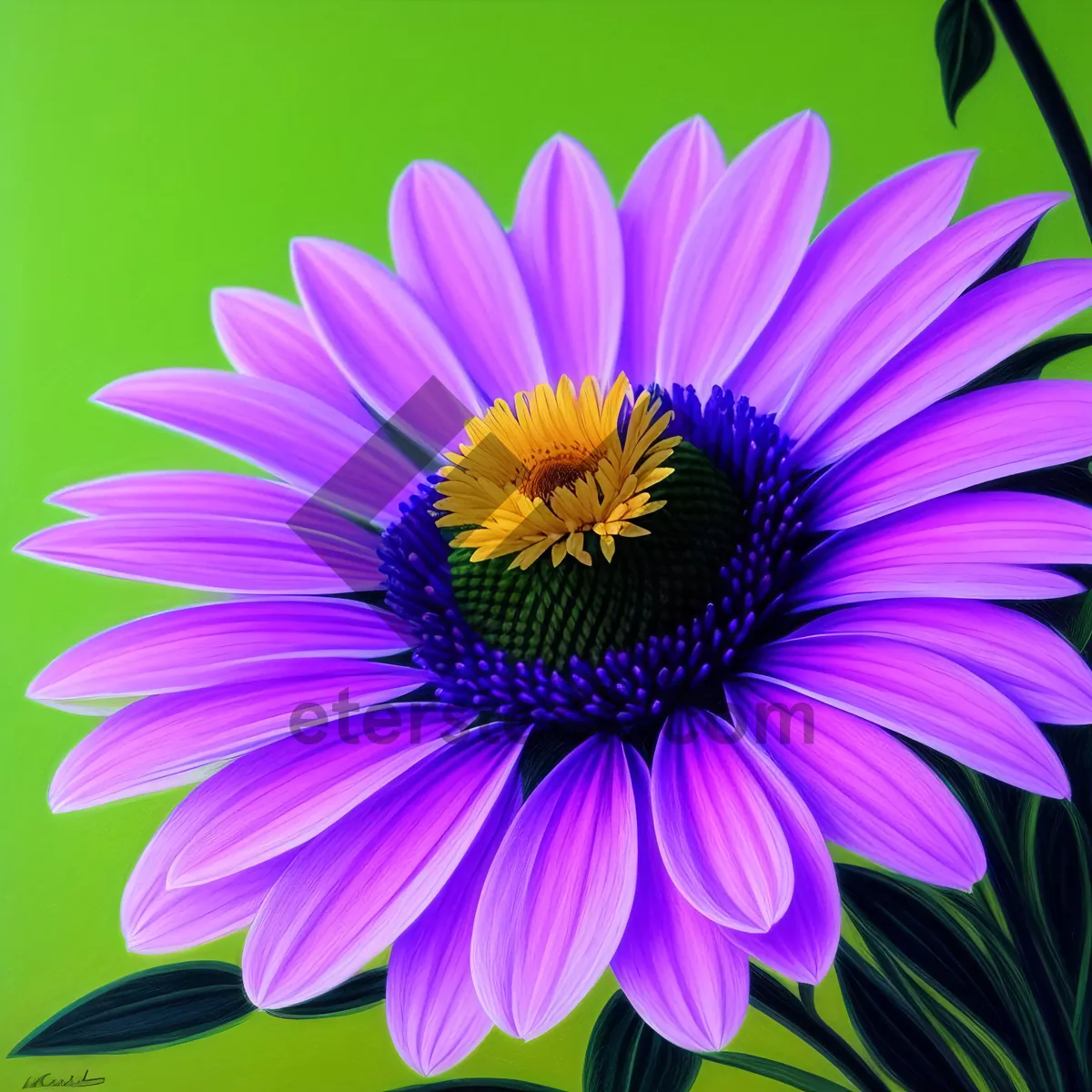 Picture of Colorful Summer Blooming Flower Garden
