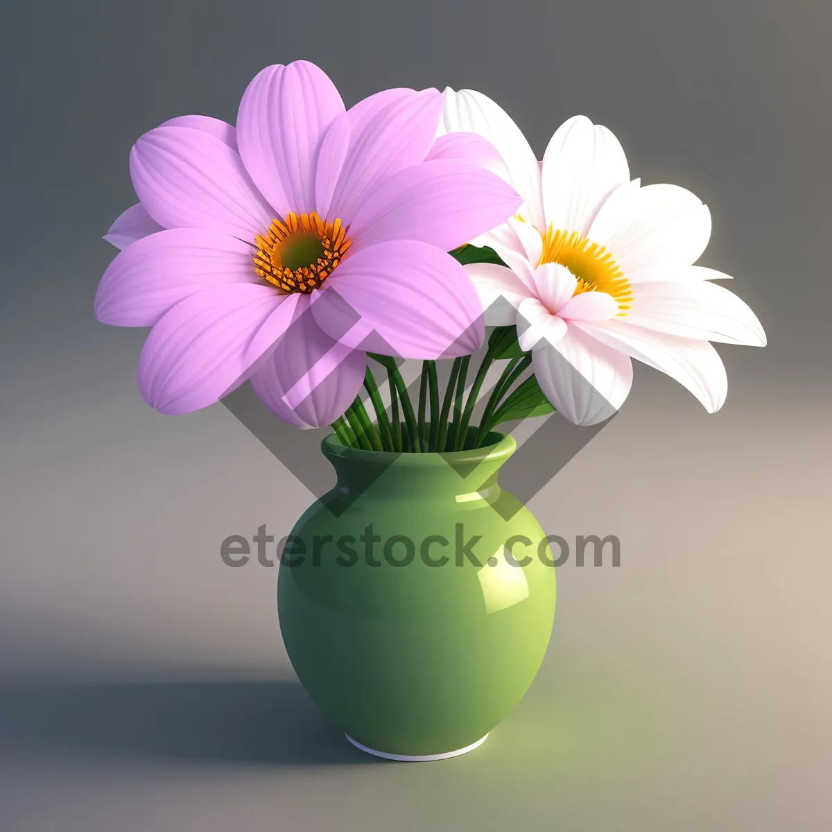 Picture of Vibrant Pink Daisy Blossom with Yellow Petals