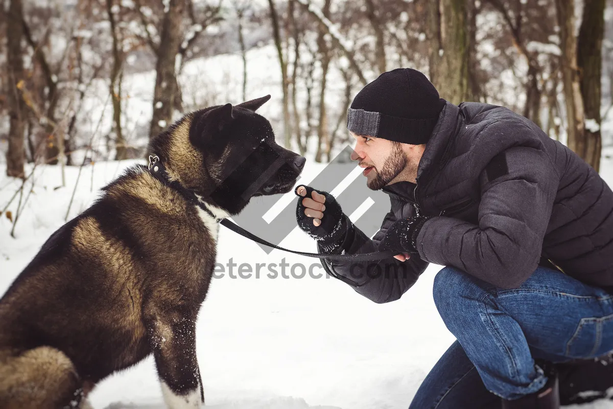 Picture of Happy Winter Dog Portrait Outdoors In Snow