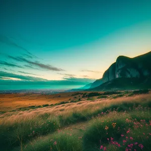 Serene Sunrise Over Rural Highland Meadow