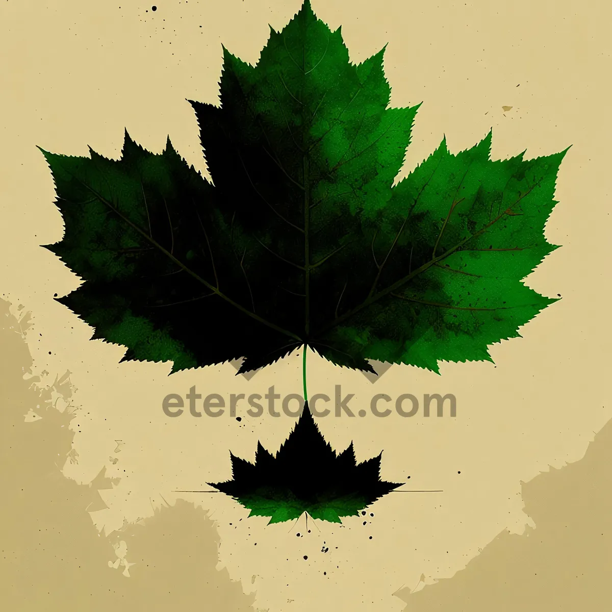 Picture of Autumn Foliage in Maple Forest: Vibrant Leaf Design