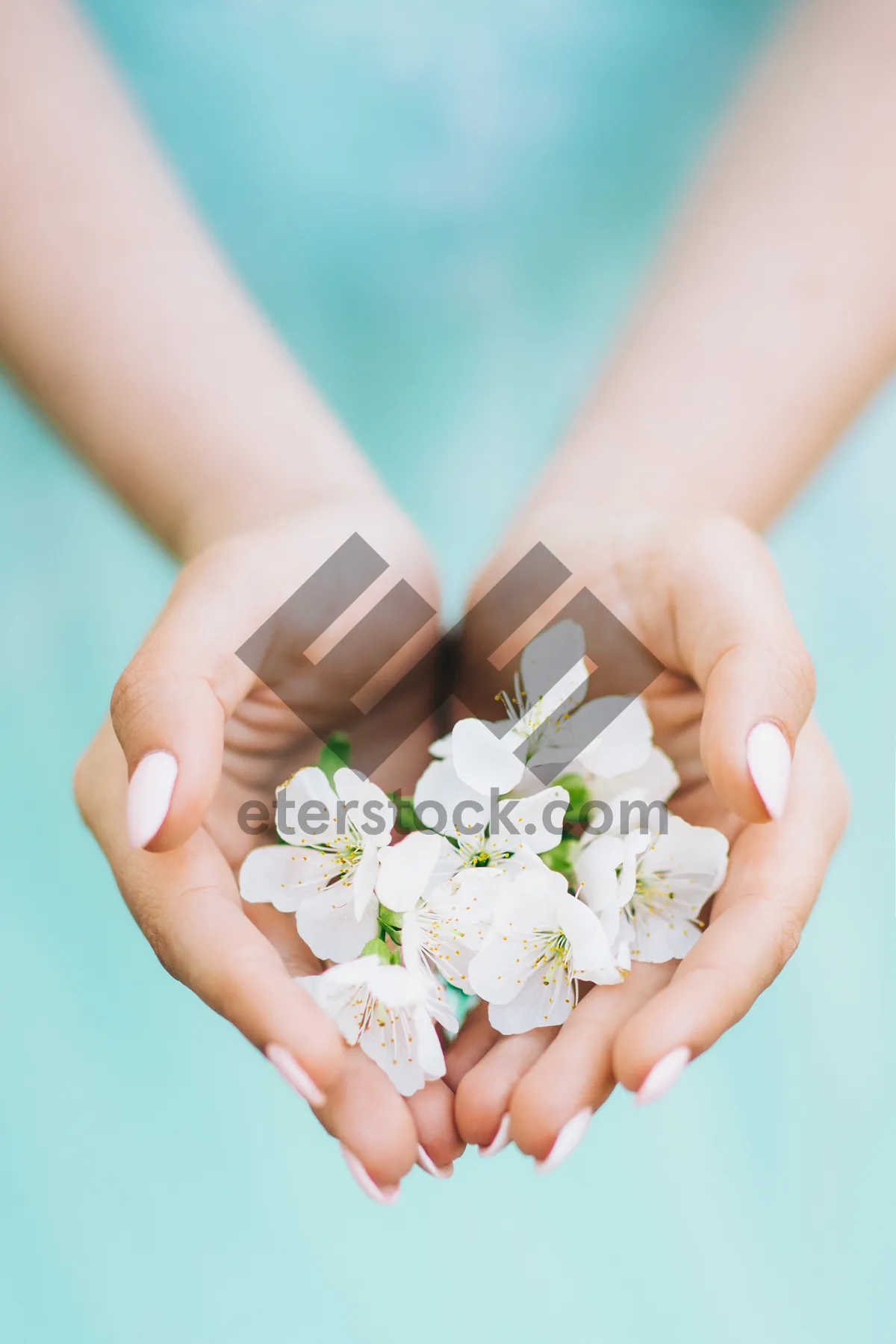 Picture of Pink flower in bride's hand, symbolizing purity