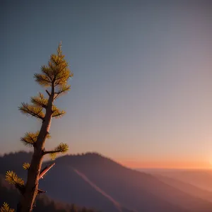 Golden Horizon over Desert Landscape