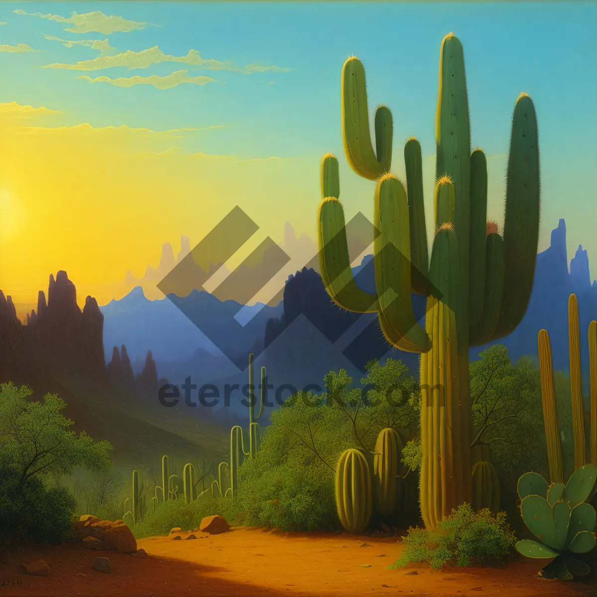 Picture of Saguaro Cactus in Spring Desert Landscape