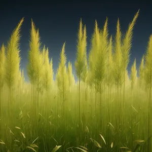 Bountiful Summer Harvest in the Countryside