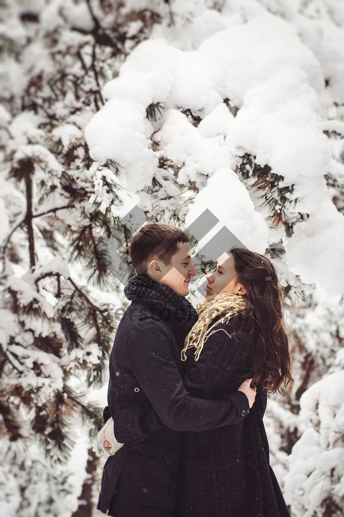 Picture of Winter fun in the snowy park landscape