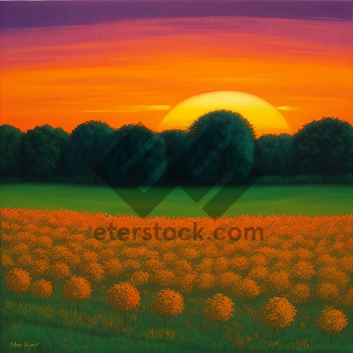 Picture of Idyllic Rural Landscape with Colorful Pumpkin Patch