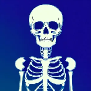 Spooky Skull Anatomy: Terrifying Skeletal Person