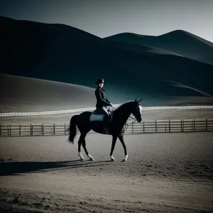 Spectacular Sunset Ride on Majestic Stallion