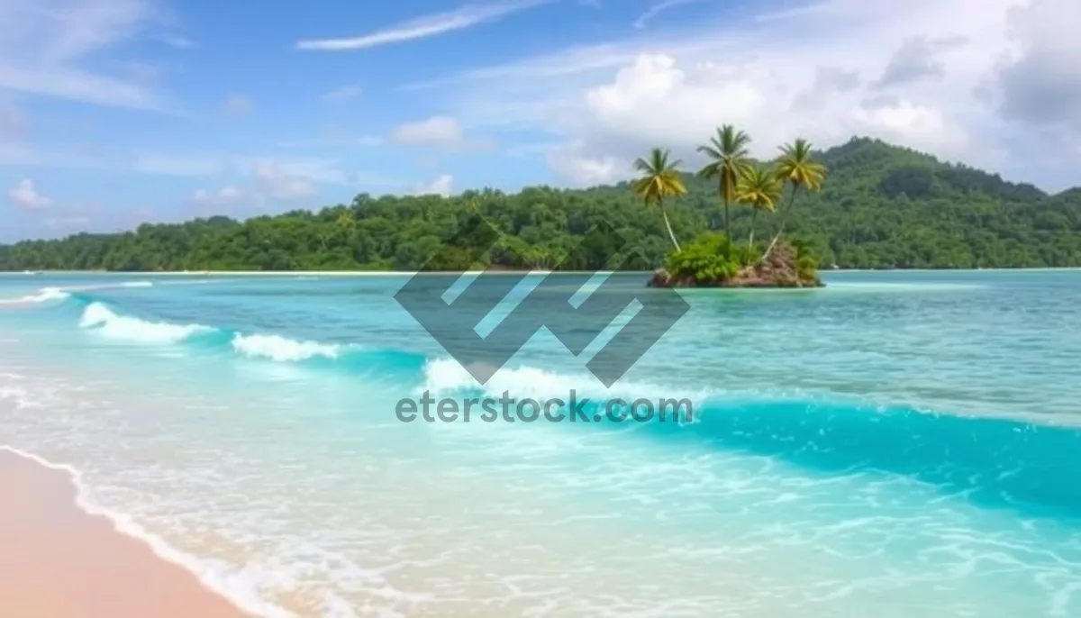 Picture of Tropical beach paradise under a sunny sky