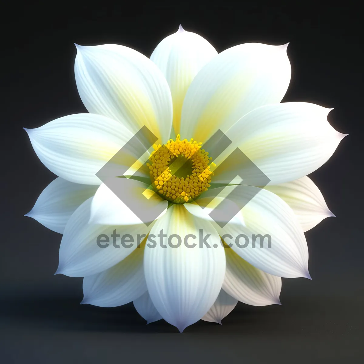 Picture of Blooming yellow daisy in vibrant garden