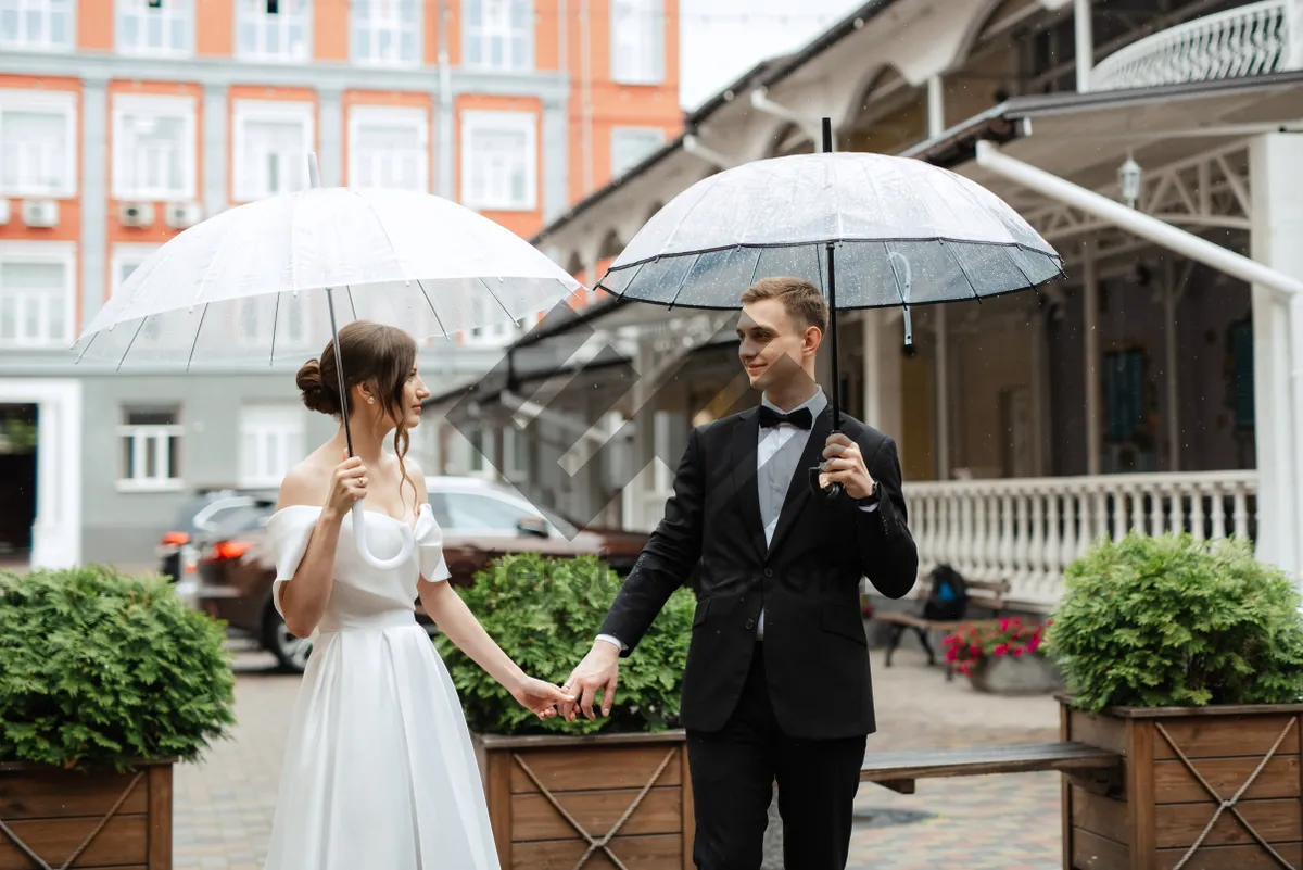 Picture of Successful Business Team Celebrating Together at Office Wedding